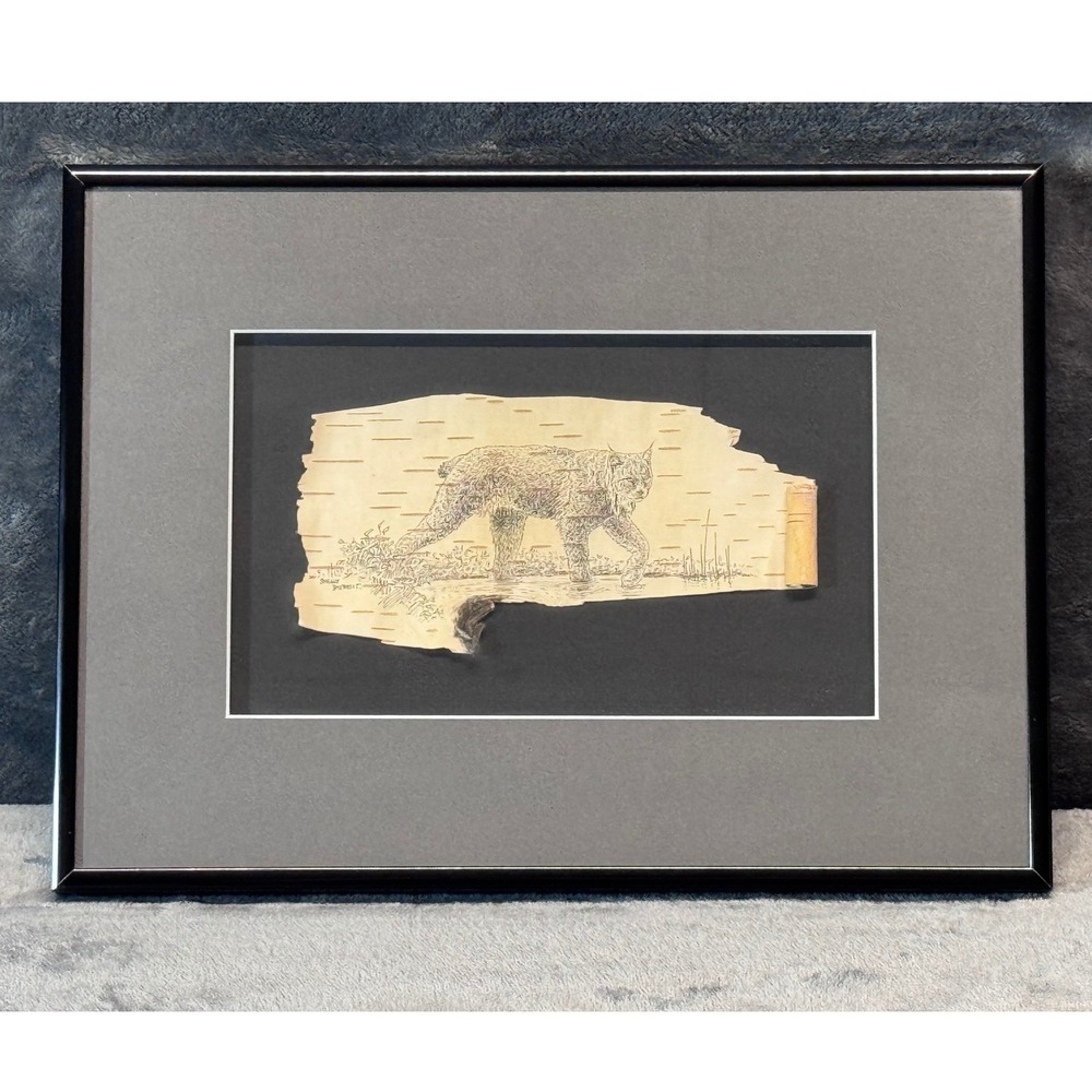 Shelly Duthoit Signed Lynx Original Art Pen & Ink Drawing Birch Bark Framed 1998